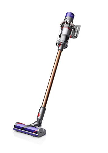 Dyson Bagyong V10