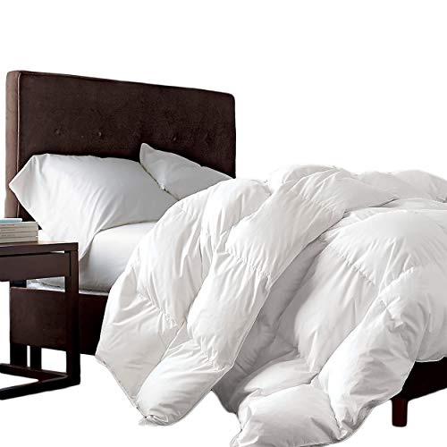 Egyptian Bedding Luxurious Queen Size Siberian Goose Down Comforter 100% Egyptian Cotton 1200 Thread Count 1200TC - Baffle Box Design - 750+ FP - 50oz- Full/Queen Duvet - Solid White