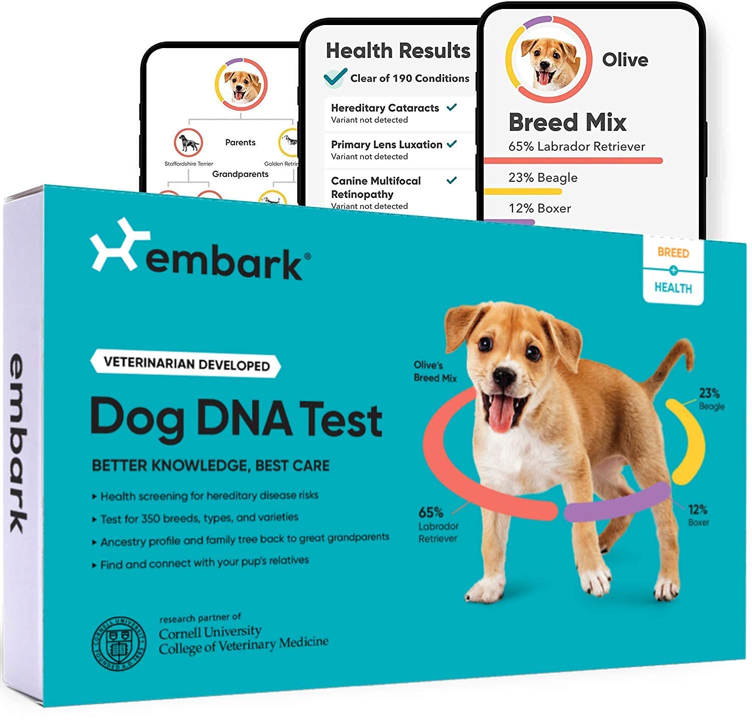 Embark Dog DNA Test Kit | Pagtuklas ng Lahi at Genetic Ancestry | Trait at Health Detection | sa-Home Cheek Swab