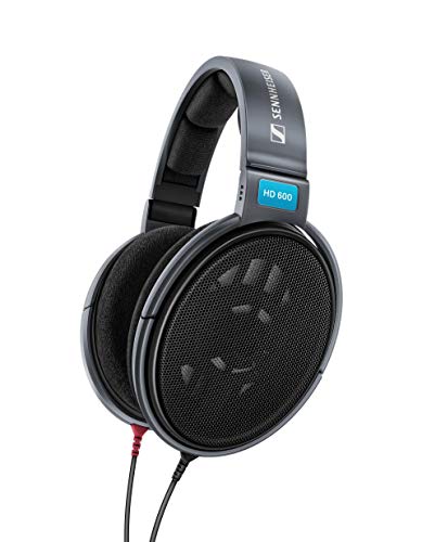 Sennheiser Consumer Audio HD 600 - Audiophile Hi-Res Op...