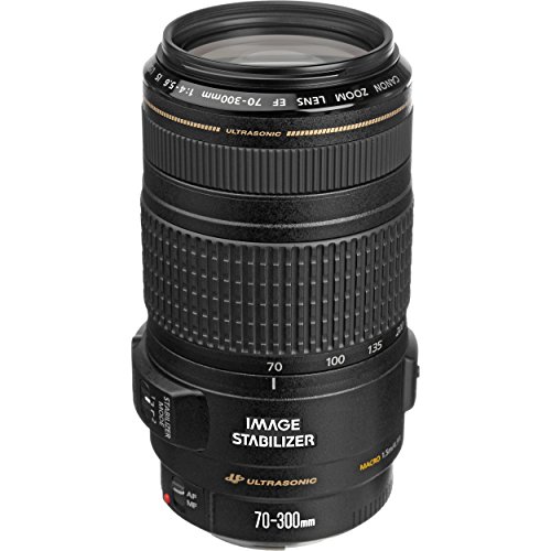 Canon EF 70-300mm f/4-5.6 IS USM Lens para sa EOS SLR C...