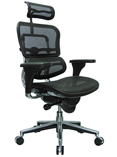 Ergohuman Mesh Chair - 18.1A 22.9'' Seat Height - High-...