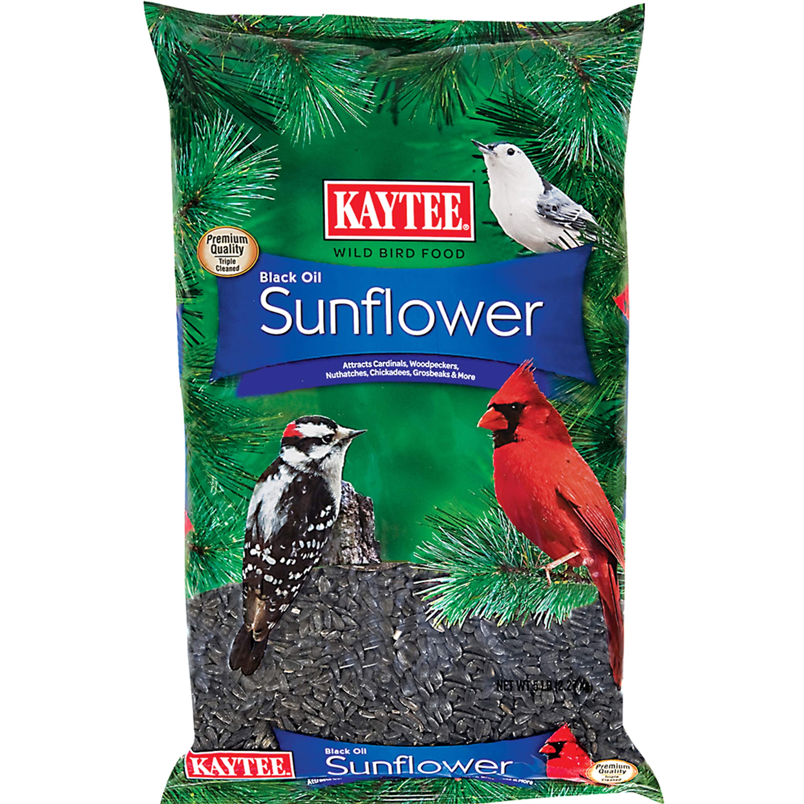 Kaytee Wild Bird Black Oil Sunflower Food