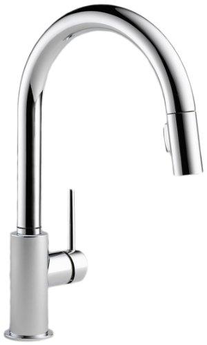 Delta Faucet 